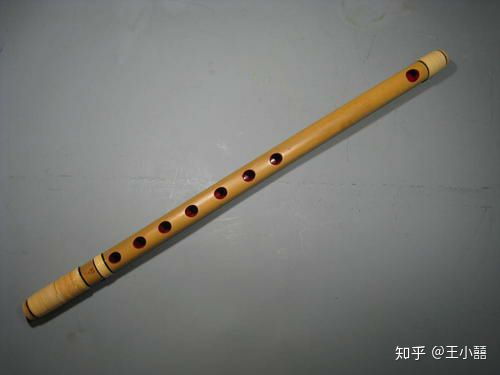 山川异域 风月同天——日本乐器在援助抗疫国家乐器展中的风采