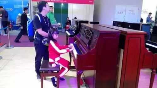 聚焦Music China 2017 中国（上海）国际乐器展览会深度报道（三）——乐器篇