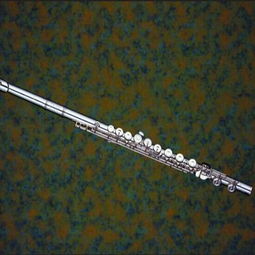 尔文乐器加盟全解析 条件、费用与联系方式